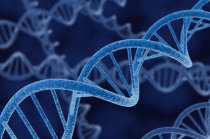 "Edi&ccedil;&atilde;o de base" do DNA de embri&otilde;es humanos pode ser cura potencial para a beta talassemia