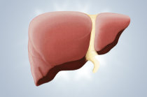 <i>NEJM</i>: aspirina em baixa dose pode proteger contra o carcinoma hepatocelular e mortalidade relacionada ao f&iacute;gado