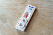 A evolu&ccedil;&atilde;o do parasita <i>Plasmodium falciparum</i> est&aacute; dificultando a detec&ccedil;&atilde;o e o tratamento da mal&aacute;ria