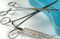 Ap&ecirc;ndice pode ter a fun&ccedil;&atilde;o de recolonizar o c&oacute;lon ap&oacute;s diarr&eacute;ias ou tratamentos com antibi&oacute;ticos