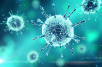 Complexos formados a partir de "nanocorpos" e um medicamento antiviral interrompem a infec&ccedil;&atilde;o por influenza