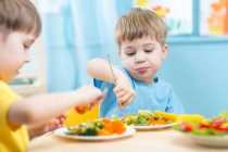 Dieta vegetariana na primeira inf&acirc;ncia: n&atilde;o foram encontradas diferen&ccedil;as no crescimento ou em medidas bioqu&iacute;micas de nutri&ccedil;&atilde;o