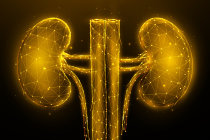 Diretrizes atualizadas para doen&ccedil;a renal cr&ocirc;nica promovem a cistatina C, equa&ccedil;&otilde;es de risco e inibidores de SGLT2