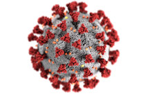 Diretrizes do <i>National Institutes of Health</i> dos Estados Unidos sobre o uso de ivermectina para COVID-19