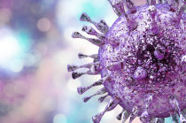 Efeito de doses altas <i>vs</i> baixas de difosfato de cloroquina como terapia adjuvante em pacientes hospitalizados com infec&ccedil;&atilde;o por SARS-CoV-2