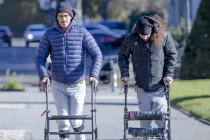 Estudo descobre os neur&ocirc;nios espec&iacute;ficos que podem restaurar a capacidade de andar ap&oacute;s paralisia
