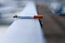 Estudo destaca efeitos duradouros do fumo no sistema imunol&oacute;gico