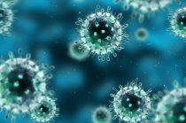Governo investe pesado no Plano Brasileiro de Prepara&ccedil;&atilde;o para a Pandemia de Gripe