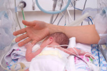 Interven&ccedil;&atilde;o liderada pelos pais, iniciada na UTI neonatal, melhorou a fun&ccedil;&atilde;o executiva na idade escolar
