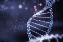 Longevidade: FDA aprova estudo em humanos sobre terapia gen&eacute;tica que busca rejuvenescimento quase total das c&eacute;lulas