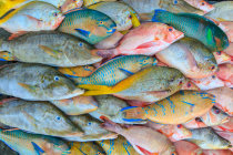 Maior ingest&atilde;o total de peixe foi associada a um risco 22% maior de melanoma maligno