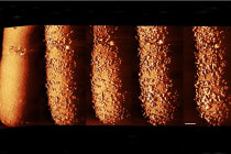 Microscopia de alta resolução revela como uma classe de antibióticos comum consegue matar bactérias como a <i>E. coli</i> Microscopia de alta resolução revela como uma classe de antibióticos comum consegue matar bactérias como a <i>E. coli</i>