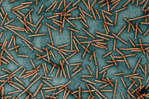 Nanoseringas permitem injetar medicamentos em c&eacute;lulas espec&iacute;ficas do corpo