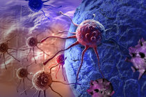 Neuroblastoma: descoberta de poss&iacute;vel mecanismo que causa remiss&atilde;o espont&acirc;nea do tumor pode ajudar a desenvolver novo tratamento