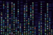 Novo "atlas" do genoma da <i>DeepMind</i> mapeia os efeitos de todas as nove bilhões de mutações genéticas humanas Novo "atlas" do genoma da <i>DeepMind</i> mapeia os efeitos de todas as nove bilhões de mutações genéticas humanas