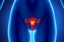 Ooforectomia bilateral na pr&eacute;-menopausa aumenta o risco de parkinsonismo e doen&ccedil;a de Parkinson