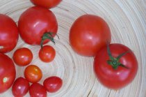 Polpa de tomate concentrada protege a pele contra os raios ultravioletas, prevenindo o c&acirc;ncer de pele e o fotoenvelhecimento