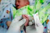 Programa de triagem neonatal para doen&ccedil;a falciforme foi lan&ccedil;ado na &Aacute;frica