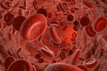Rob&ocirc;s min&uacute;sculos nadam pelo sangue, administram medicamentos e depois se dissolvem