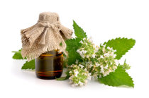 SUS aumenta as op&ccedil;&otilde;es de tratamento aos usu&aacute;rios com amplia&ccedil;&atilde;o do uso de plantas medicinais, fitoterapia, homeopatia, acupuntura, termalismo e outras pr&aacute;ticas terap&ecirc;uticas
