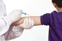 Sarampo est&aacute; associado &agrave; perda de mem&oacute;ria imunol&oacute;gica podendo predispor a infec&ccedil;&otilde;es ao longo de at&eacute; tr&ecirc;s anos ap&oacute;s a doen&ccedil;a