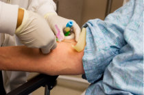 Sociedade Brasileira de Hematologia e Hemoterapia (SBHH) critica liminar sobre doa&ccedil;&atilde;o de sangue