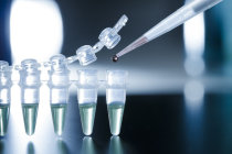 Terapia experimental com c&eacute;lulas-tronco do cord&atilde;o umbilical tratou hipertens&atilde;o arterial pulmonar grave