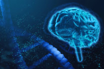 Terapia gen&eacute;tica pode aliviar a dor cr&ocirc;nica ao dissociar as experi&ecirc;ncias sensoriais e emocionais