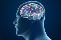 Teste experimental promete detectar a doen&ccedil;a de Parkinson antes que os sintomas surjam