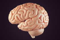 Tratamento com inositol inibe o meduloblastoma por meio da supress&atilde;o da adapta&ccedil;&atilde;o metab&oacute;lica impulsionada pela epigen&eacute;tica