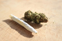 Uso de cannabis durante a adolesc&ecirc;ncia pode estar associado ao neurodesenvolvimento alterado