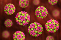 Vacina em comprimido contra o norov&iacute;rus mostra-se promissora para prevenir gastroenterite viral