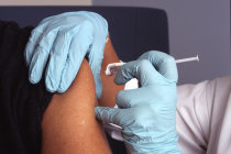 Vacina viva atenuada de dose &uacute;nica contra chikungunya gerou forte resposta imune