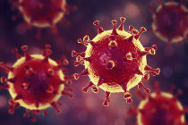 Vírus modificado rouba proteínas do HIV, apontando para uma nova terapia Vírus modificado rouba proteínas do HIV, apontando para uma nova terapia