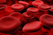 Hemostasia: o que &eacute; isso?