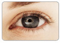 Oftalmologistas derrotam Projeto de Lei que regulamenta a pr�tica da optometria por n�o-m�dicos