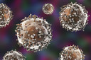 PNAS: fatores imunol&oacute;gicos podem desencadear o c&acirc;ncer associado &agrave; inflama&ccedil;&atilde;o cr&ocirc;nica