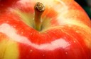 A casca da ma&ccedil;&atilde; possui nutrientes, antioxidantes e subst&acirc;ncias que evitam a prolifera&ccedil;&atilde;o de c&eacute;lulas tumorais humanas