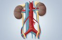 A liga&ccedil;&atilde;o entre doen&ccedil;a renal e c&acirc;ncer: complica&ccedil;&otilde;es e tratamento