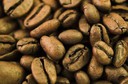 C&acirc;ncer de endom&eacute;trio: caf&eacute; pode evitar o c&acirc;ncer endometrial, segundo artigo do Cancer Epidemiology, Biomarkers & Prevention