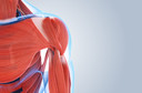 C&eacute;lulas senescentes danificam o corpo ao longo da vida