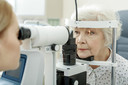 Estrat&eacute;gia experimental visa tratar a perda de vis&atilde;o no glaucoma guiando c&eacute;lulas-tronco para a retina