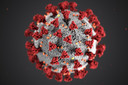 Estudo avalia hip&oacute;tese de supress&atilde;o imune inata causada por vacinas de mRNA contra o SARS-CoV-2