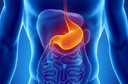 Estudo observou assinaturas metabol&ocirc;micas plasm&aacute;ticas em les&otilde;es g&aacute;stricas pr&eacute;-cancerosas que evoluem para c&acirc;ncer