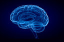 Estudo sugere gen&eacute;tica como causa, n&atilde;o apenas como risco, para algumas formas de Alzheimer