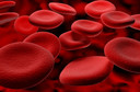 Exame de sangue de rotina identifica quais pacientes com COVID-19 enfrentam maior risco de ficarem gravemente doentes