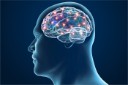 Mapa de "microprote&iacute;nas" cerebrais pode oferecer novas pistas sobre a doen&ccedil;a de Alzheimer
