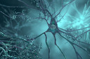 Medicamento para diabetes foi associado a menos amiloide cerebral e decl&iacute;nio cognitivo mais lento na doen&ccedil;a de Alzheimer