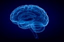 Neur&ocirc;nios GABA&eacute;rgicos podem frear a progress&atilde;o de gliomas