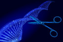 Nova t&eacute;cnica CRISPR destr&oacute;i seletivamente c&eacute;lulas cancer&iacute;genas, incluindo c&acirc;nceres considerados "intrat&aacute;veis"
